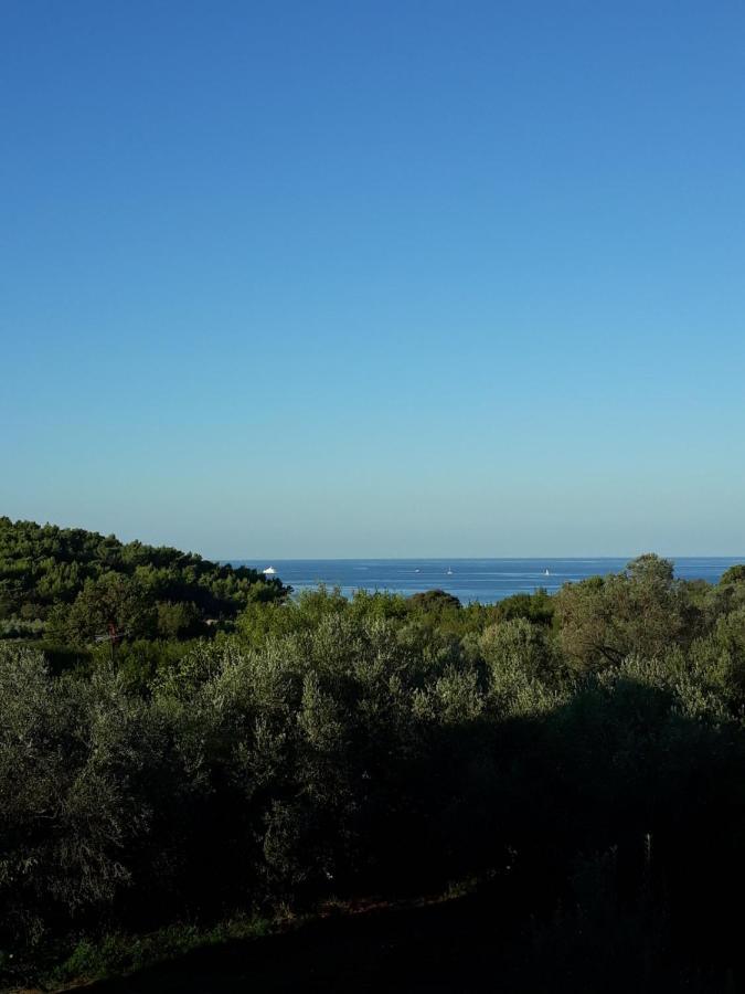 Casa Nonna Tereza Appartement